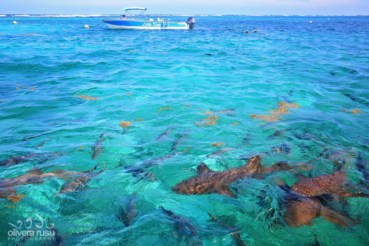 Cayo Espanto San Pedro (Ambergris Caye) Exterior photo