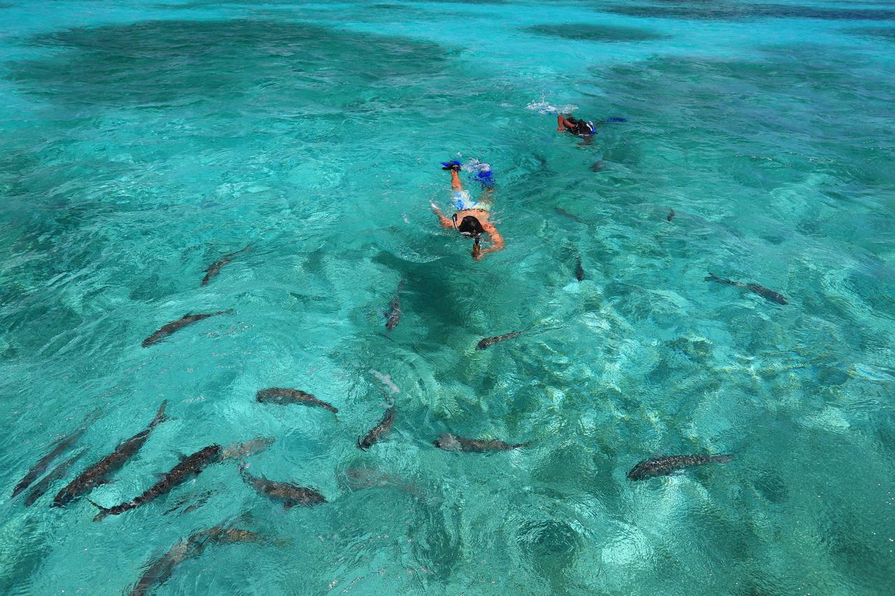 Cayo Espanto San Pedro (Ambergris Caye) Exterior photo